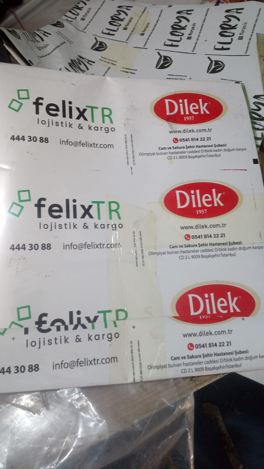 Dilek - FelixTR